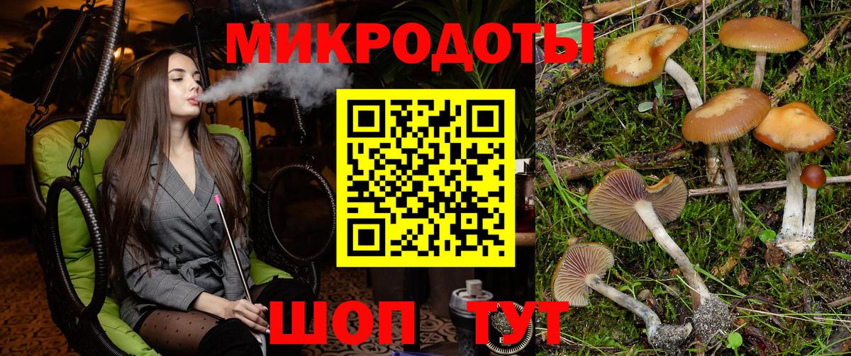 Псилоцибиновые грибы MAGIC MUSHROOMS  Вход с VPN  Тимашёвск 